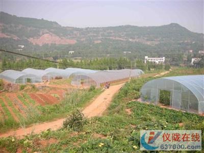 仪陇无公害蔬菜生产发展态势好