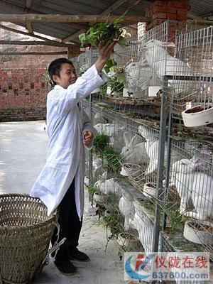 惠农政策喜了饲养户