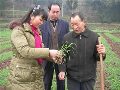“科技家教”田间解民难