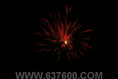 围炉守岁 “金城”烟花最灿烂