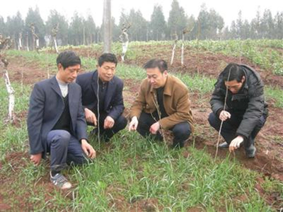 仪陇：机关干部不放“开门炮” 节后上班到田间