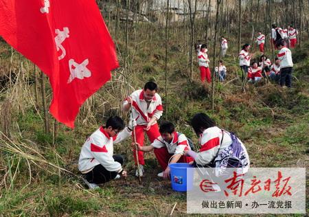 数百名青年志愿者义务植树