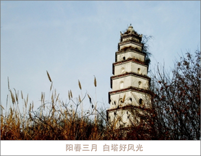 阳春三月  白塔好风光