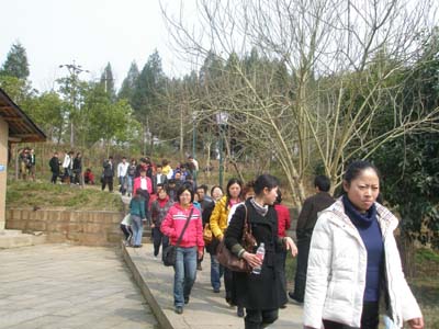 春意盎然 喜迎第98个国际三八妇女节