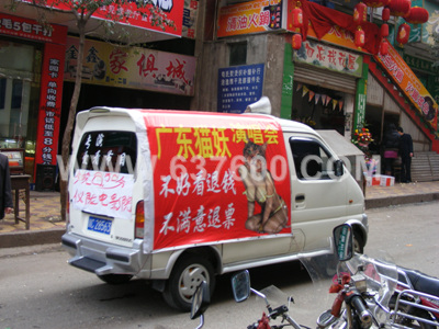 猫妖在行动 精神文明建设势在必行