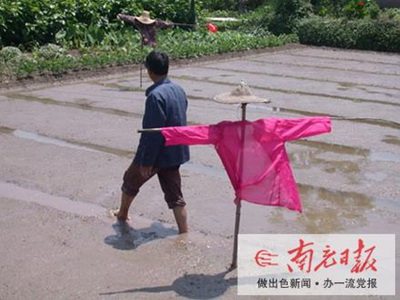 田间表演“模特秀”