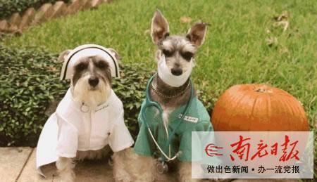 像绵绵一样生活