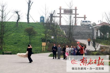 春天作证 婚礼前到生态公园留个影