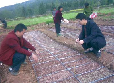 仪陇县召开机插育秧技术培训会