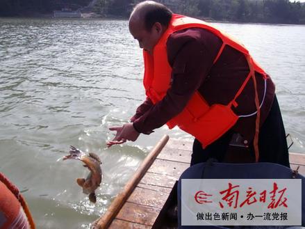 保护嘉陵江 市民自发买鱼放生