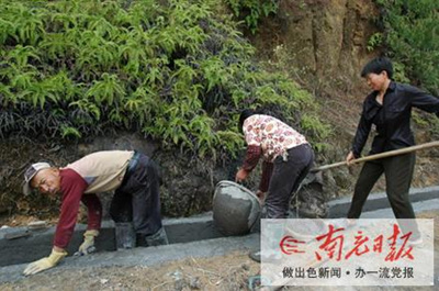 引山泉发展稻田养鱼