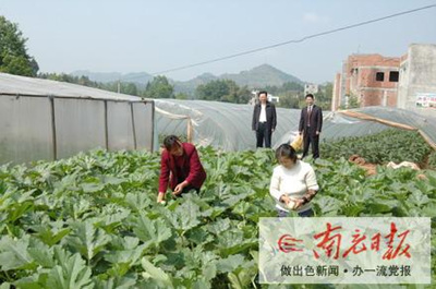 成都业主搭台 农民家门口打工