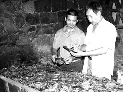 鲜鱼烤成鱼干 更赚