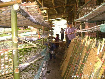 仪陇县张公镇新思维新技术兴蚕业