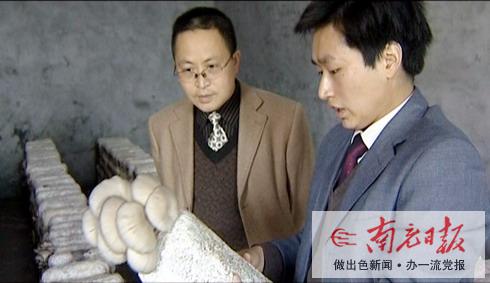 这些年轻人真了不起