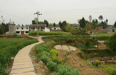 “幸福路”的变迁