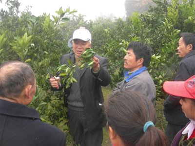 技术要领到田间