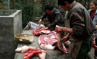 冬月见识仪陇乡村农家杀年猪