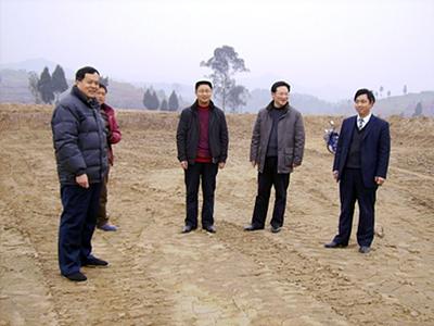 双胜镇：有序流转土地促发展（图）