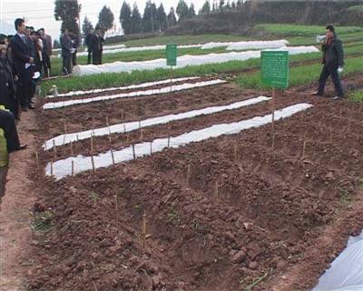 仪陇县召开大春生产备耕现场会