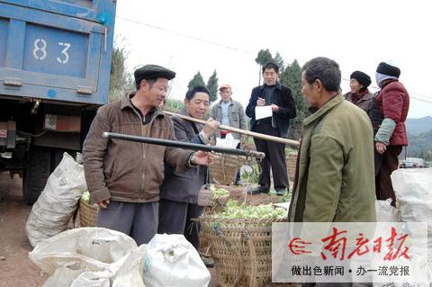 有了保护价榨菜多卖钱