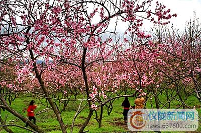 三八妇女节未到 4A景区提前预热