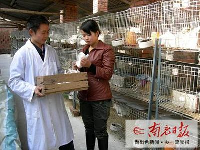 万余女能人活跃在乡村