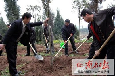 义务植树添新绿