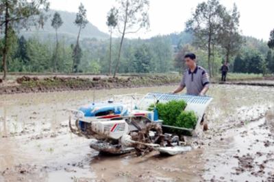 推广节水农业栽培技术