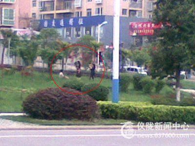 你的美丽不应留在绿化草丛中