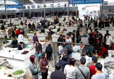 标准市场 市民的创业乐园