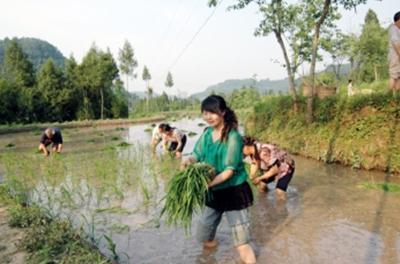 组建抢种抢收队帮助缺劳户