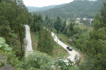 丁字桥镇的产业路