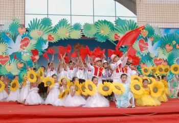 阳光下的花朵真快乐