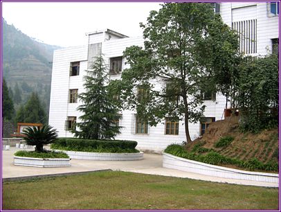 仪陇县炬光小学 - 教育培训 - 仪陇在线 - 仪陇县具有影响力的门户