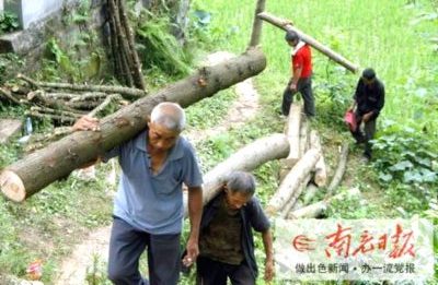 非法收购林木被罚3000元