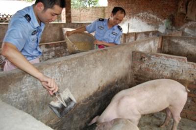 农民养猪遇困 民警帮忙贷款解围