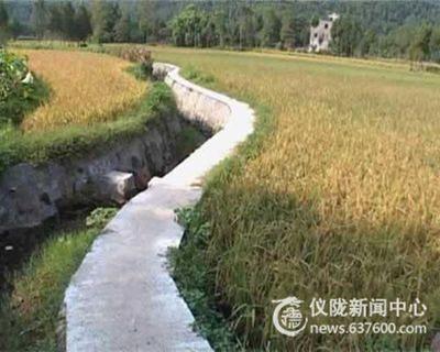 土门镇发动群众积极抢收稻谷