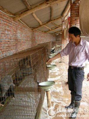 文星镇村民严辉 返乡发起‘狐狸’财