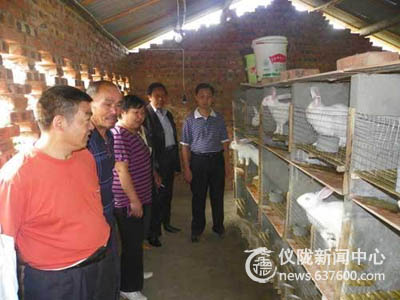 丁字桥镇开展兔业生产情况检查