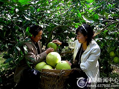 仪陇：大学生村官践行科学发展观抓学习见行动