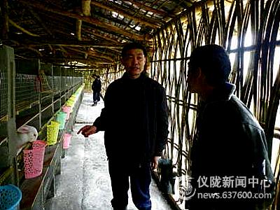 县人大领导检查丁字桥镇畜牧业生产工作