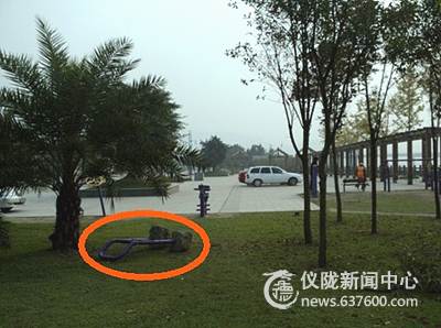 连根拔起健身器材  公德心在哪里