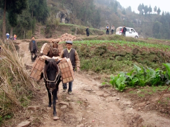 马背驮起小山村