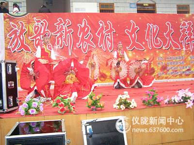 仪陇县开展文化拜年活动