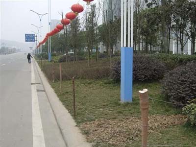 何必非要如此“野蛮”