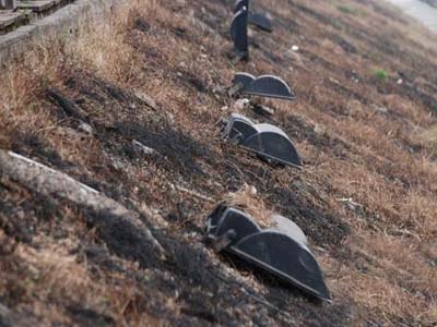 城市绿化 岂容破坏！