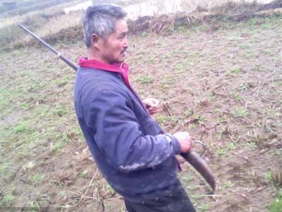 网友报料：仪陇中坝民间藏有大量猎枪