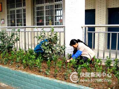 三月里来好春光 龙岗校园绿化忙