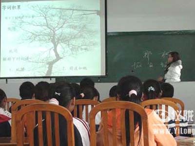 檬垭小学：开展竞教活动 促进有效教学